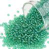 TOHO Round Seed Beads X-SEED-TR11-0164B-1