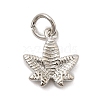 Brass Charms KK-C139-31C-P-1