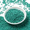 MIYUKI Round Rocailles Beads SEED-JP0009-RR0412-2