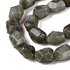 Natural Labradorite Beads Strands G-N342-146-3