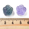 Natural Fluorite Beads G-H007-01C-3