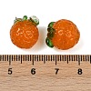 Handmade Lampwork Beads LAMP-S070-02B-4
