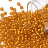 TOHO Round Seed Beads SEED-JPTR08-0030F-1