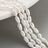Natural Cultured Freshwater Pearl Beads Strands PEAR-P062-01E-2
