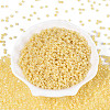 8/0 Glass Seed Beads X1-SEED-A011-3mm-142-1
