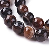 Natural Striped Agate/Banded Agate Beads Strands G-G582-10mm-45-3