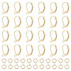 BENECREAT 40Pcs Brass Leverback Earring Findings KK-BC0013-02G-1