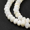 Natural Freshwater Shell Beads Strands BSHE-E026-15B-01-4