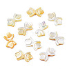 Natural Yellow Shell Beads SSHEL-S258-105B-1