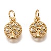 Brass Micro Pave Clear Cubic Zirconia Charms ZIRC-B002-66G-1