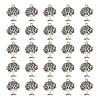 Tibetan Style Alloy Pendants FIND-DC0006-12C-1