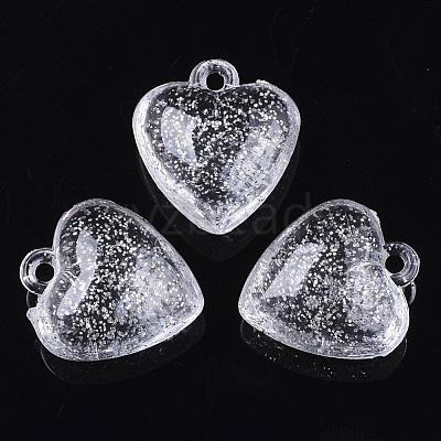 Transparent Acrylic Pendants TACR-Q264-25-1