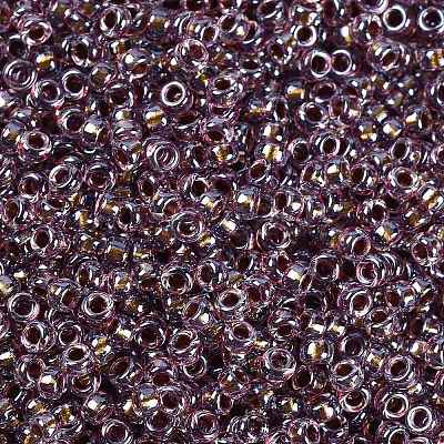 MIYUKI Round Rocailles Beads SEED-G009-RR3206-1