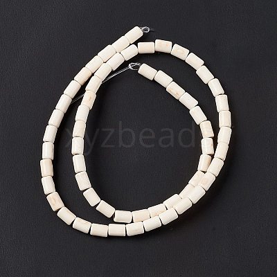Synthetic Turquoise Beads Strands X-TURQ-G120-4x6mm-12-1