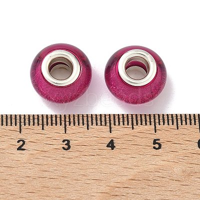 Large Hole Resin European Beads OPDL-R118-02B-1