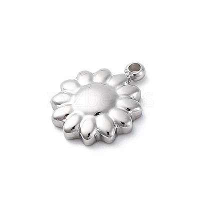 304 Stainless Steel Charms STAS-S163-08A-P-1