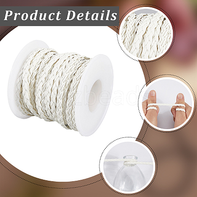 10M Flat Braided Imitation Leather Cords LC-CL0001-04D-1