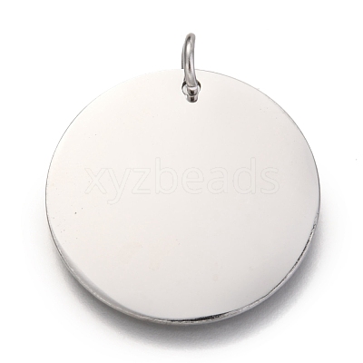 Non-Tarnish 304 Stainless Steel Charms EJEW-L238-03F-P-1