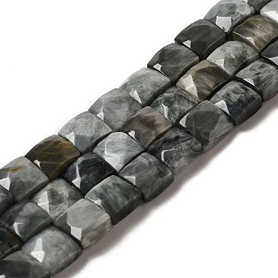 Natural Eagle Eye Stone Beads Strands G-C109-A15-02-1