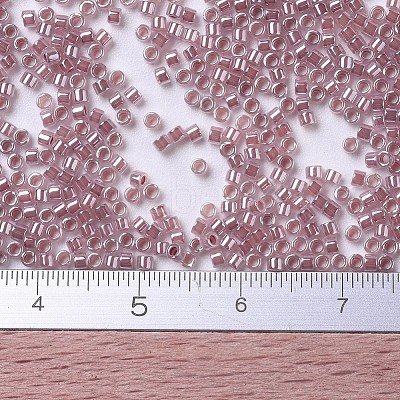 MIYUKI Delica Beads SEED-J020-DB0256-1