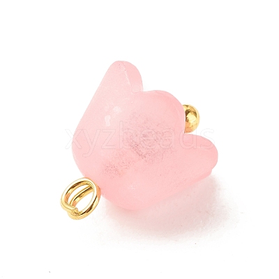 Transparent Acrylic Charms PALLOY-JF01603-02-1