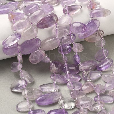 Natural Amethyst Beads Strands G-P604-A08-01-1