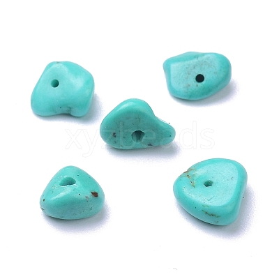 Natural Magnesite Beads Strands TURQ-P001-02A-07-1