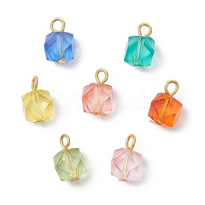 Transparent Acrylic with Iron Pendants PALLOY-JF03680-01-1