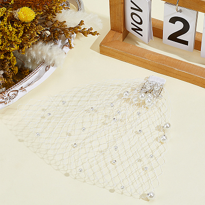 Polyester Fascinator Mesh Face Veil AJEW-CY0002-99-1