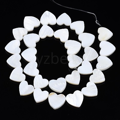 Natural Freshwater Shell Beads Strands X-SHEL-N027-21-1