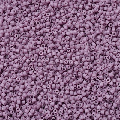 MIYUKI Delica Beads X-SEED-J020-DB0800-1