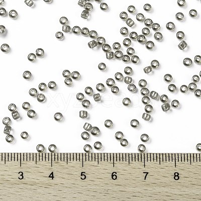TOHO 8/0 Round Beads X-SEED-TR08-0120-1