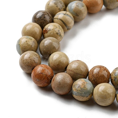 Natural Aqua Terra Jasper Beads Strands G-E444-14B-12mm-1