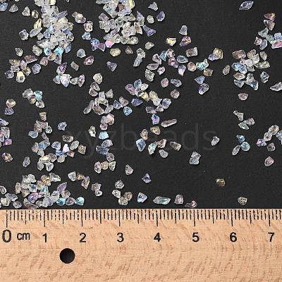 Transparent Electroplate Crushed Glass Craft GLAA-F123-02-1