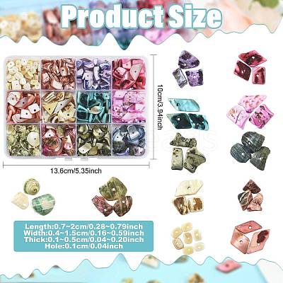 165G 12 Styles Dyed Natural Freshwater Shell Chips Beads SHEL-FS0001-20-1