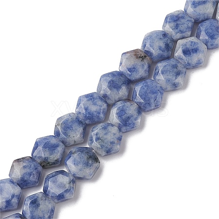 Natural Blue Spot Jasper Beads Strands G-K359-C17-01-1