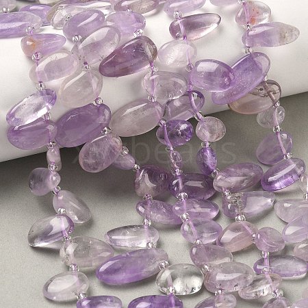 Natural Amethyst Beads Strands G-P604-A08-01-1