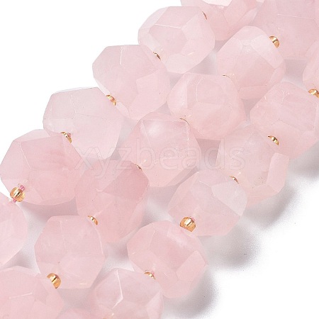 Natural Rose Quartz Beads Strands G-B094-E01-01-1