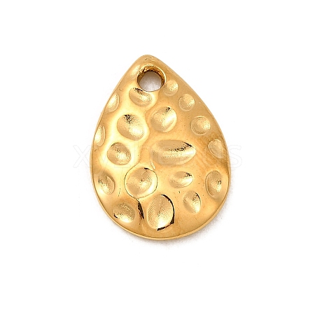 304 Stainless Steel Charms X1-STAS-Z157-15G-1