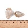 Natural Sea Shell Pendants SSHEL-N038-32-3