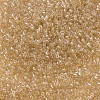 MIYUKI Delica Beads SEED-X0054-DB0101-3