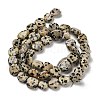 Natural Dalmatian Jasper Beads Strands G-P497-01E-80-3