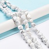 Natural Howlite Beads Strands G-K337-06-2