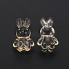 Transparent Acrylic Beads MACR-S373-81-B04-3