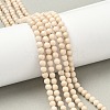 Natural Fossil Beads Strands X-G-K209-05D-4mm-1