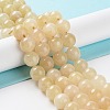 Dyed Natural Malaysia Jade Beads Strands G-G021-02C-11-3