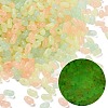 Luminous Transparent Acrylic Beads LACR-D009-01C-1