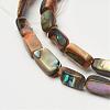 Natural Paua Shell Beads Strands G-D171-03-2
