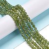 Natural Apatite Beads Strands G-C009-A03-2