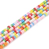 Handmade Czech Lampwork Beads Strands LAMP-L078-008N-1